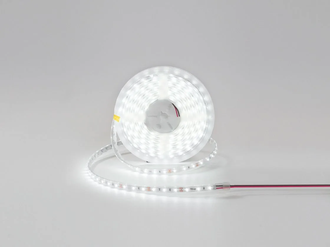 SWG Светодиодная лента 12V IP65 холодное свечение, DSG360-12-W-65