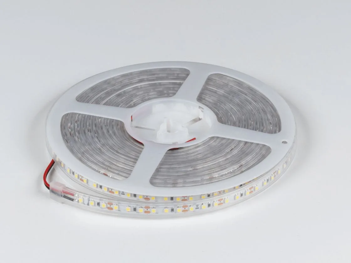 SWG Светодиодная лента 12V холодное белое свечение, DSG3120-12-W-65 SWG Светодиодная лента 12V холодное белое свечение, DSG3120-12-W-65